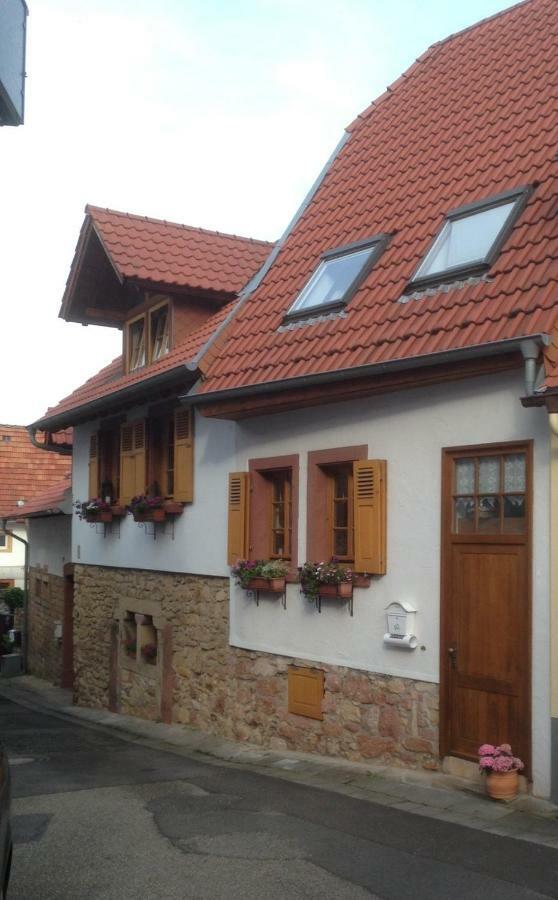 Ferienwohnung Bildgasse Neustadt an der Weinstraße 외부 사진